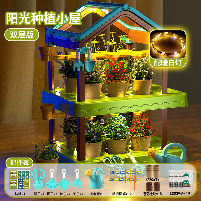 Diy sunroom planting kit for kids: science experiment set for elementary school students - educational toy for boys and girls