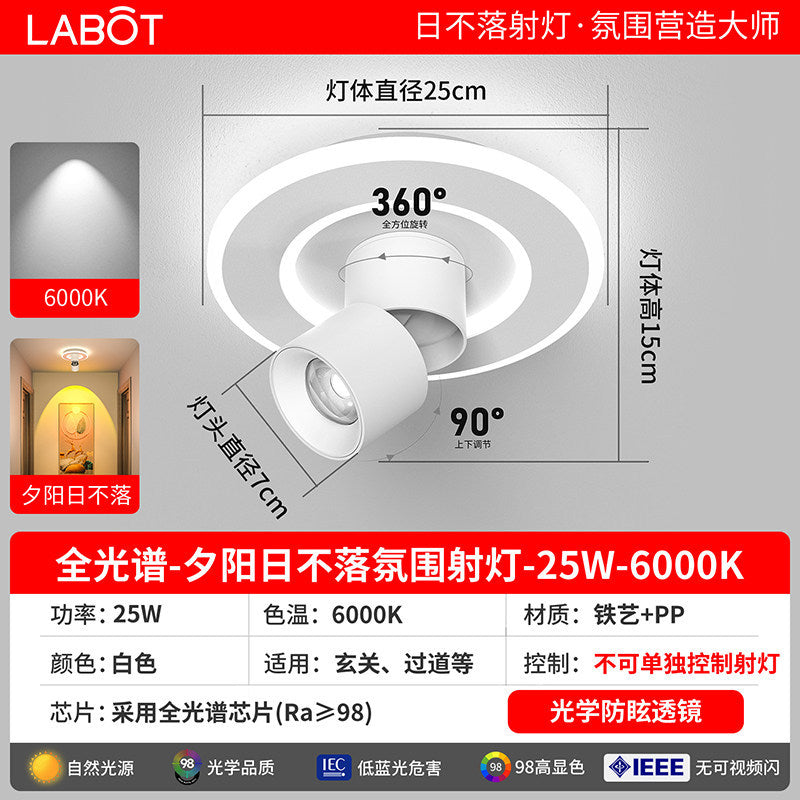 Aisle lights, corridor lights, surface-mounted projection, never-sunset atmosphere lights, entrance hall, high-end balcony led ceiling lights