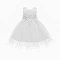 Wholesale foreign trade children's wear: embroidered princess dress for girls, asymmetrical mesh dress with large bow
