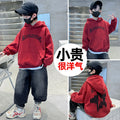 Boys' hoodie - spring/autumn collection  - new spring kids' clothing - boys' hooded top - cool & stylish for older boys