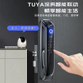 Supports cross-border household smart locks, tuya wifi, facial recognition, fingerprint locks with surveillance, intercom, and door code locks