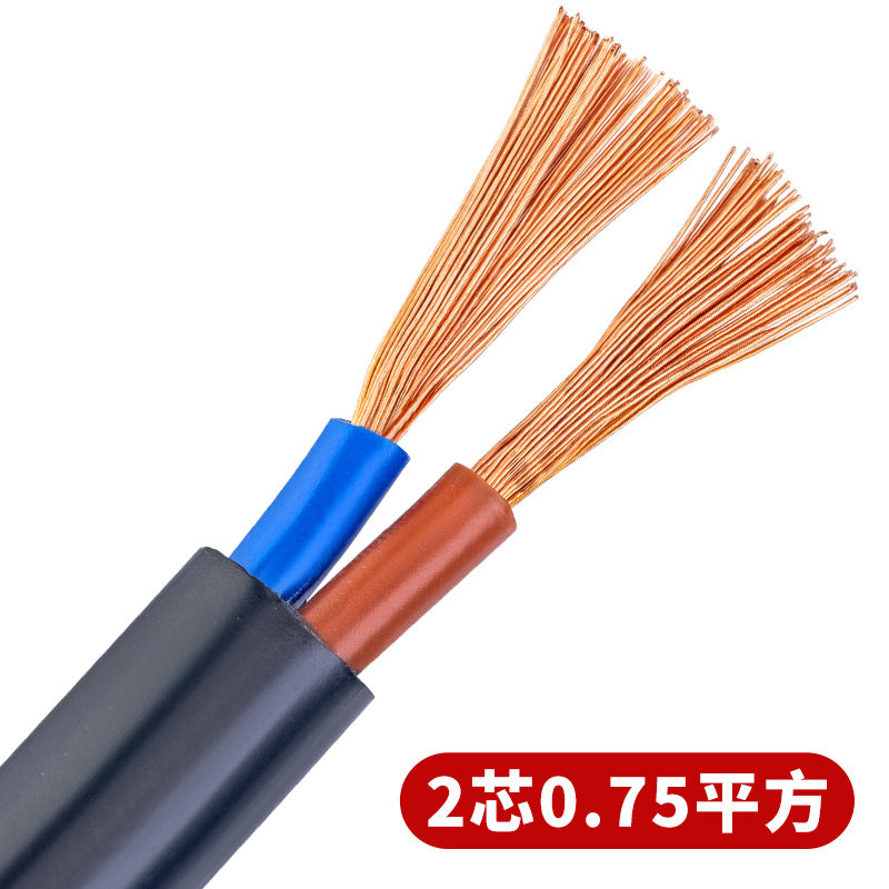 Pearl River wire and cable sheathed wire RVV 2 /3 /4 core square national standard pure copper core soft power cord 100 meters