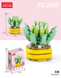 8940-5 echeveria 92pcs [gift box packaging]