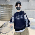 Kids' boys' sweatshirt - spring/autumn  new collection - toddler & little boy's spring/autumn style - baby boy's spring top