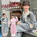 Girls' autumn cardigan two-piece set: new  versatile chic stand collar jacket, loose-fit spring/autumn outfit