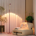Influencer-approved cross-border little red riding hood floor lamp: elevate your living room with a touch of luxury. perfect for creating a cozy ambiance in your bedroom or corner by the sofa