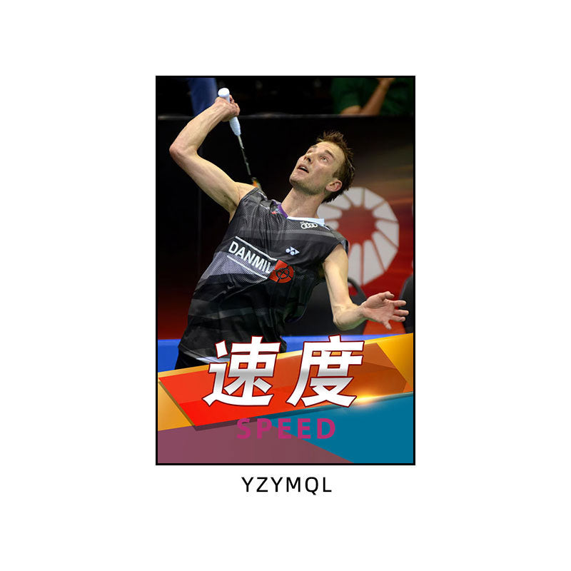 Badminton hall star poster mural Li Zongwei hanging painting ball sports stadium Lin Dan Chen Yufei decorative painting