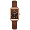Douyin small green watch popular live broadcast small square watch women's watch retrofashion quartz watch