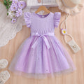 Exportgirldresssummer style flying sleeve mesh princess dress kids mesh skirt autumn birthday dress
