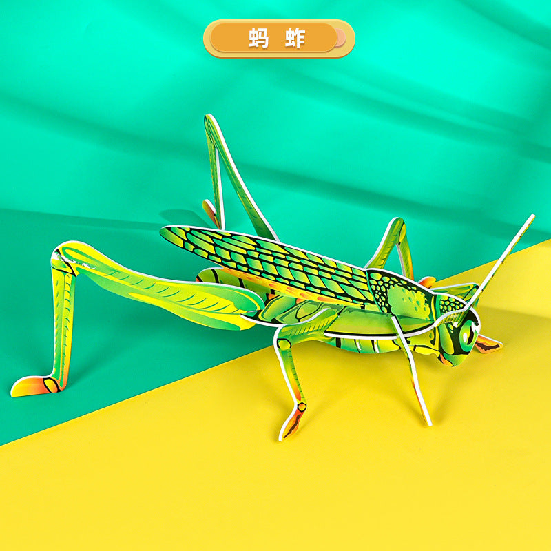 KT grasshopper, technology small production handmade DIY splicing primary school students insect cognition science education science experiment package