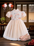 cross-border chinese style girls' floral princess dress (with bag)