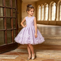 European and american style new girls' dress - lace mesh tutu skirt with bow neckline - princess style - direct from manufacturer - in stock