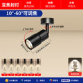 Ceiling model [10~60° focus] full spectrum ra98 black - 20w/neutral light 4000k