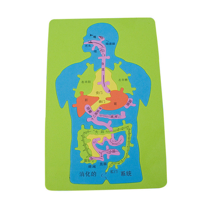 Kindergarten science experiment children DIY handmade children primary school students enlightenment toys technology small production material package