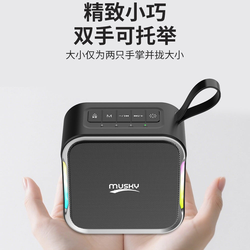 Dy53 bluetooth speaker - portable all-in-one system for outdoor square dancing, home karaoke, and wireless microphone use