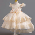 Exportin stock trailing evening dress airplane sleeve tutu princess dress girl banquet dress girl dress