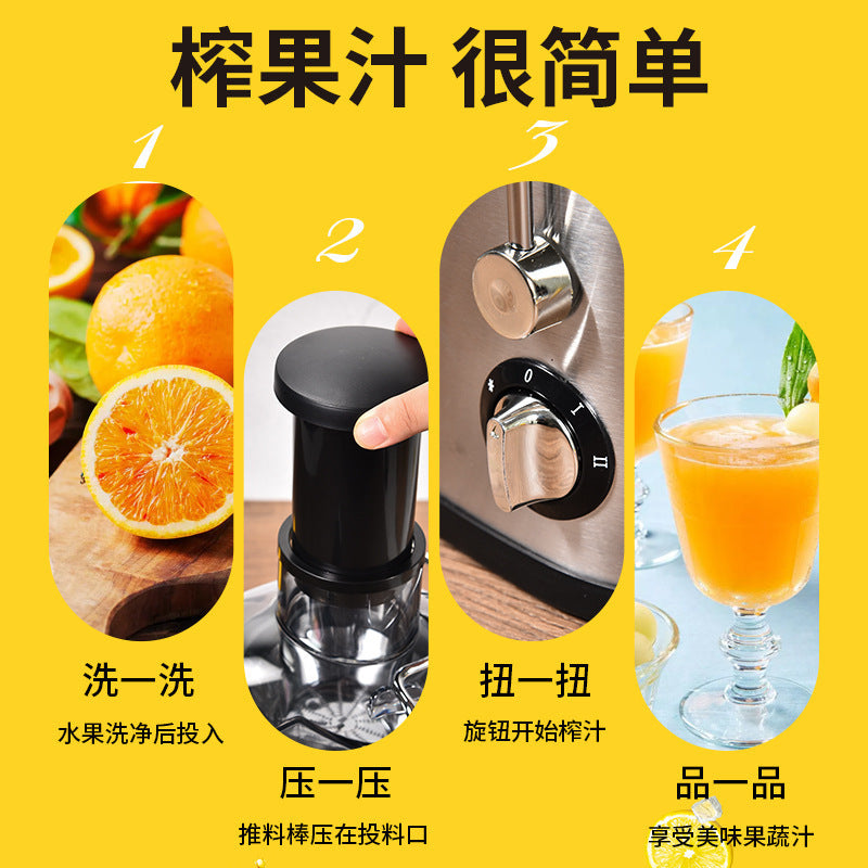Export fruit juice extractor stainless steel juicer fruit and vegetable machine juice machine residue juice