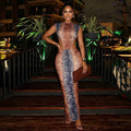 European and american style foreign trade everyday retro women's snake print print elegant design hip-hugging skirt round neck hiking long dress