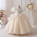 hot-selling classy dress girl tutu skirt accessible luxuryniche style flower girl wedding dress evening dress elegant performance dress