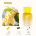Wholesale car air freshener, premium automotive scent, 2024 new model, long-lasting high-end fragrance for men and women