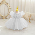 Ready-to-ship new bubble sleeve children's formal dress, floral tulle princess dress, baby girl's first birthday dress