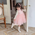 Girls' dress  autumn french princess style pink chanel-inspired mesh tutu vest dress two-piece trendy set