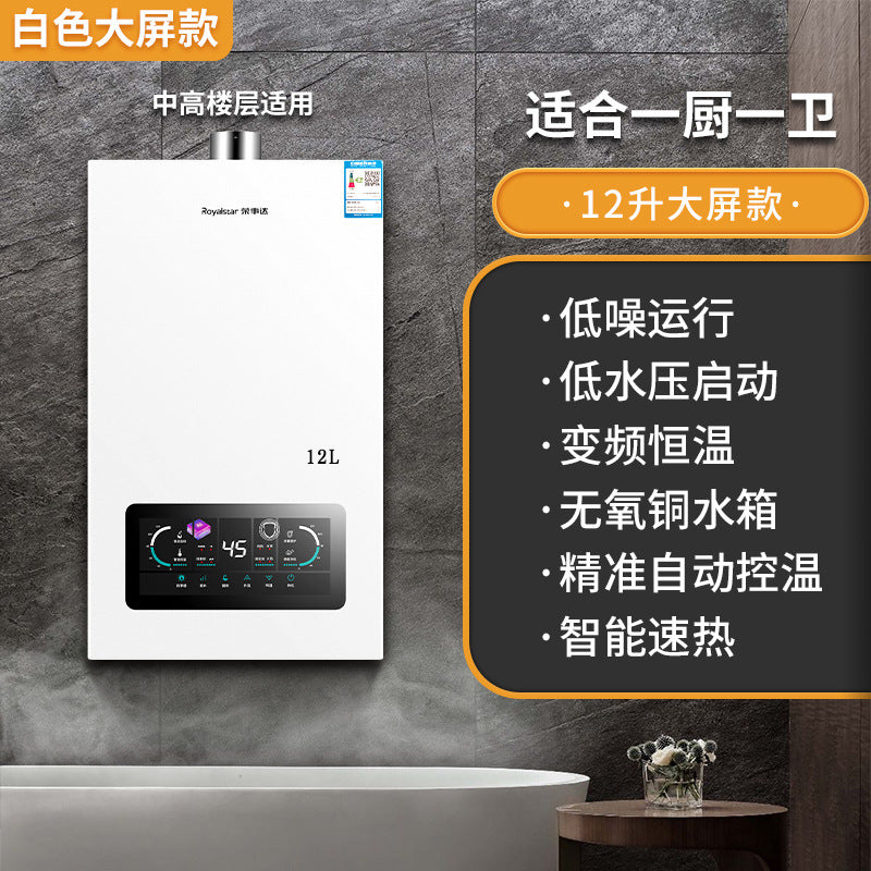 Wholesale royalstar natural gas gas water heater for home13l liquefied gas coal gas forced exhaust gas model 16 liters