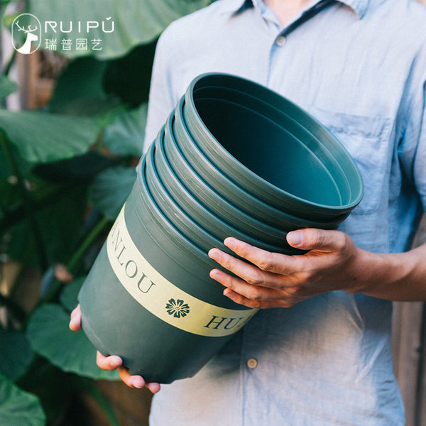 Factory flower direct wholesale flower pot plastic gallon pot green dill rose large large diameter potted plant
