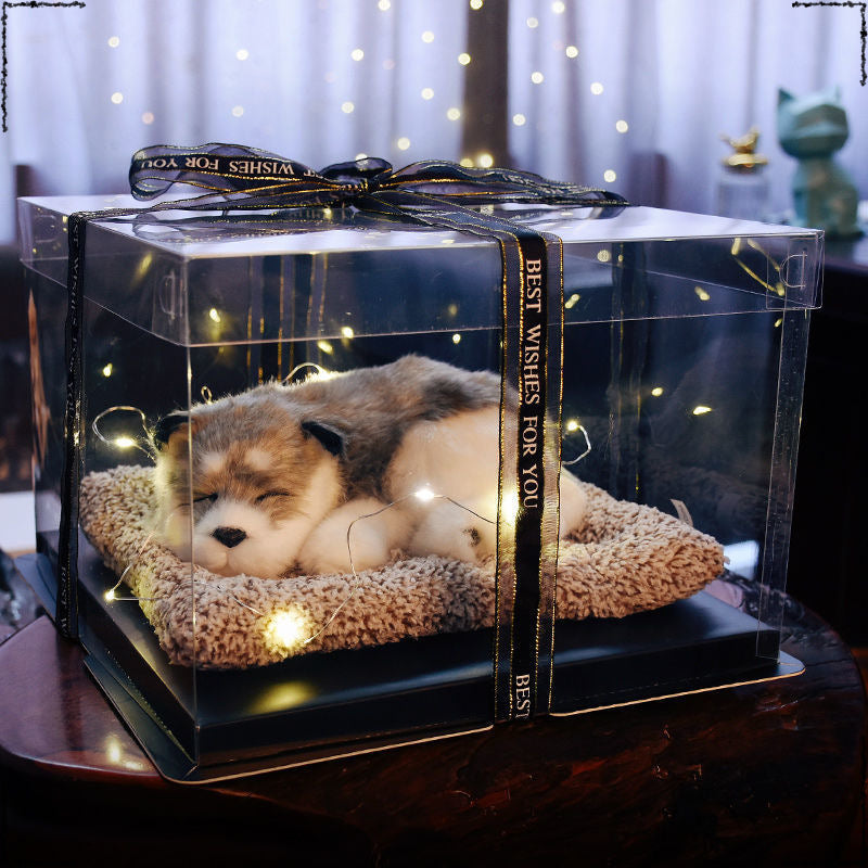 Birthday gifts for girls on Children's Day, children's girlfriends, girlfriends, simulated cats to accompany dolls 61 gift boxes