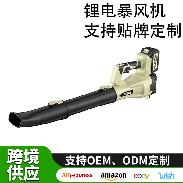 Foreign trade blower high power strong hair dryer high power industrial wireless snow blower lithium battery storm gun