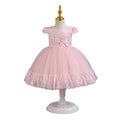 Exportin stockchildren's dresslace tutu princess dress one year old evening dress female baby dress