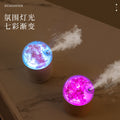 in stocknew arrival preserved flower humidifier usb desktop office bedroom hydration atomizer gift wholesale