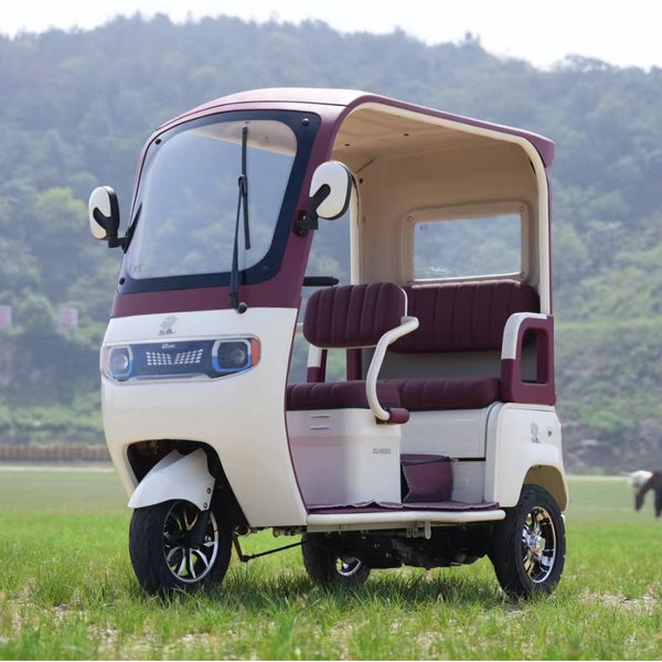 Domestic positive three-wheeled motorcycle household elderly pick-up and drop-off children canopy car long battery life safety and energy-saving three-wheeled motorcycle