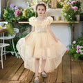 Girls' formal dresses flower girl wedding dresses train gowns birthday piano recital runway stunning dresses children's princess dresses