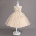 New arrival: export-quality wedding dress, children's formal gown, floral appliqué princess dress, little girl's piano recital dress, kids' dress