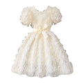 Girls' (toddler) dress, 3d rose embellished elegant party dress