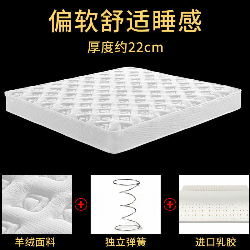 Simmons mattress soft and hard dual-purpose 20 thickened household coconut palm latex mattress independent spring mattress