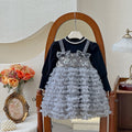 Girls' dresses: new autumn  collection - elegant fleece-lined birthday dress for little girls, super fairy tutu princess dress for children