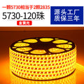 5730 double row 120 beads golden light