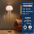 S gold rod [pink feather crystal] floor lamp - stepless dimming
