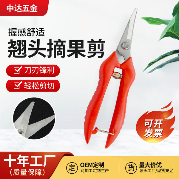 Garden wholesale fruit tree pruning scissors upturned head fruit and vegetable 4 fruit picking scissors stainless steel grape scissors gardening tools