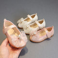spring/autumn girls' leather shoes - bowknot princess flats - kids' velcro dance shoes - velcro girls' shoes