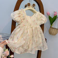 summer new arrival: baby girl's lace mesh floral dress with cute big bow - sweet and adorable princess dress