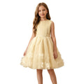 European and american style cross-border girls' formal dress - custom sleeveless vest dress with tulle skirt - sweet style girl dress