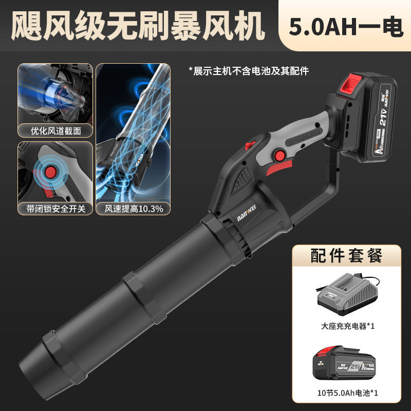 Nanwei lithium electric hair dryer rechargeable blower blower high power industrial grade blowing dust blowing fallen leaves blowing snow