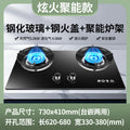 Wholesale royalstar gas stove double stove for home natural gas gas stove embedded liquefied gas energy saving fierce fire