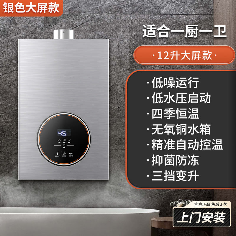 Wholesale royalstar natural gas gas water heater for home13l liquefied gas coal gas forced exhaust gas model 16 liters