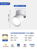Full spectrum downlight [foldable] elegant white 12w-3500k-ra98 cri