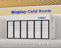 Fruit supermarket back-up cold storage complete set of equipment glass door can display cold storage air curtain cabinet fresh display cabinet
