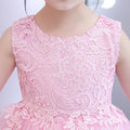Special offer: summer children's princess dress performance costume - toddler & kids' formal wear, kindergarten stage outfit, girls' dress & vest set